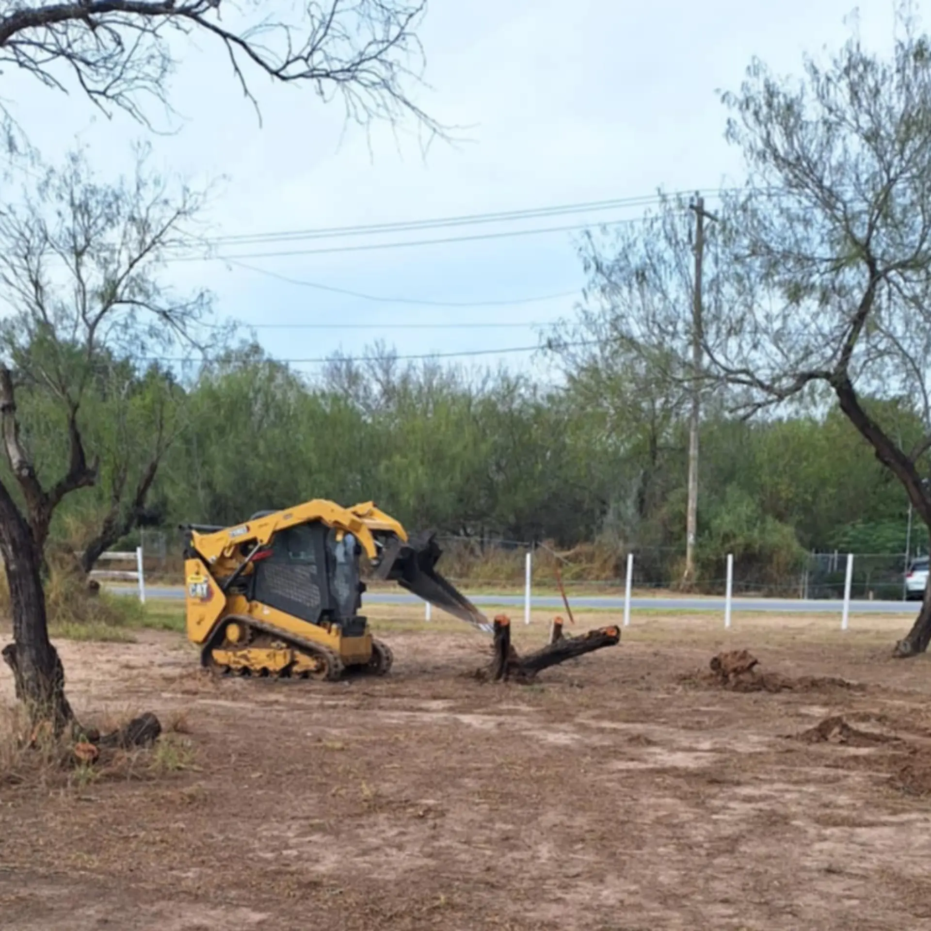 Land clearing equipment removing brush from a property in the Rio Grande Valley