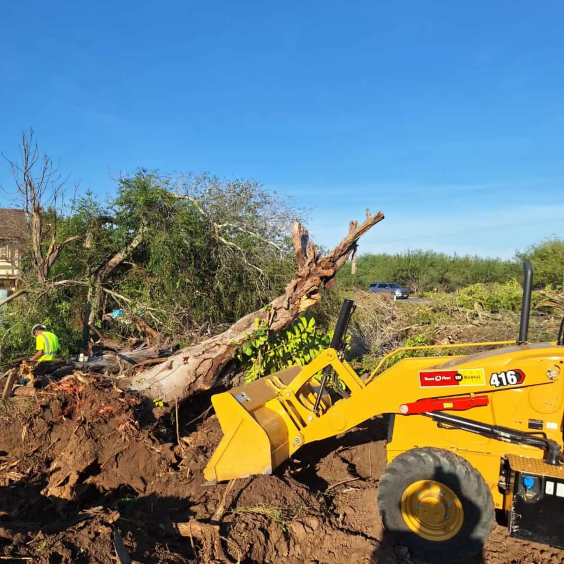 Backhoe lifting a tree and root ball out of a South Texas job site